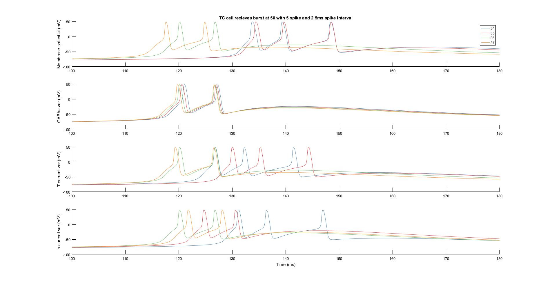 TC cell reaction to IPSP based on temperature